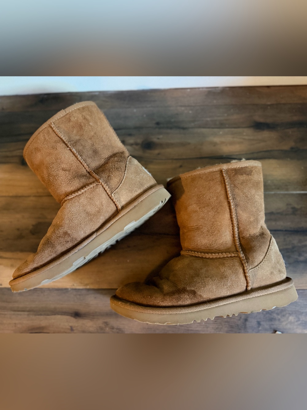 UGG | UGG Classic Short Chestnut Sheepskin Boots | Big Kids Size 4 / EU 36 - Picture 4 of 12